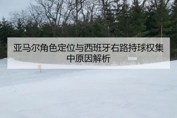 ya-ma-er-jue-se-ding-wei-yu-xi-ban-ya-you-lu-chi-qiu-quan-ji-zhong-yuan-yin-jie-xi-2-740.jpg